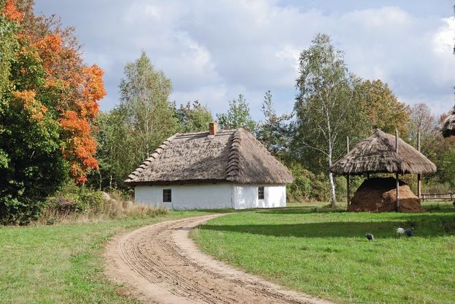 Skansen w Sierpcu - historia