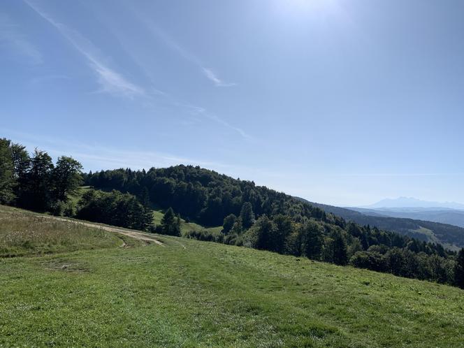 Bacówka Nad Wierchomlą w Beskidzie Sądeckim. To prawdziwy turystyczny hit!