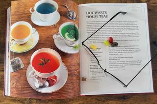 Harry Potter nowa książka ze świata J.K.Rowling! Mamy zdjęcia ze środka! [ZDJĘCIA]