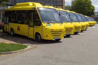 Nowe linie minibusowe. Będą jeździć w Tarnowskich Górach, Zabrzu i Knurowie