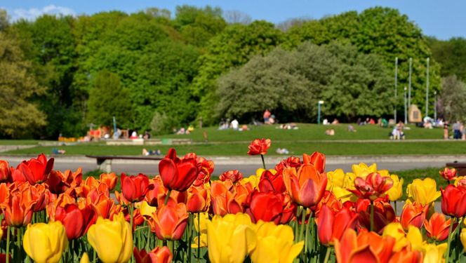 Najpiękniejszy park na świecie znajduje się w Warszawie? Ten Central Park wygląda jak z bajki Disneya