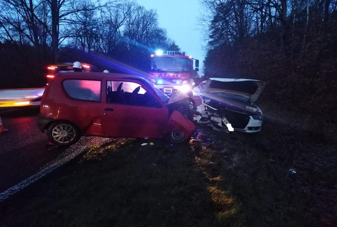 Policjanci i strażacy zabezpieczali zdarzenie.