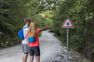 Zestaw do bezpiecznego usuwania kleszczy KICK THE TICK® Expert – POGOTOWIE KLESZCZOWE. Sprawdziliśmy, jak działa [wyniki testu]