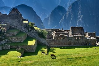 Machu Picchu