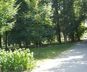 Park Miejski w Sandomierzu