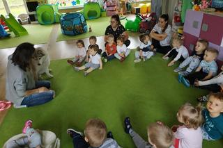 Dogoterapia w Łodzi