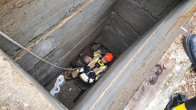 Strażacy wyciągnęli mężczyznę z grobu