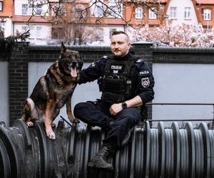 Pies policyjny Kazik przechodzi na emeryturę