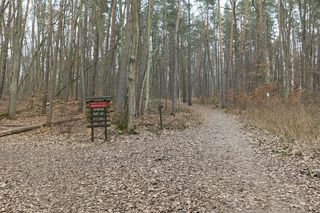 Bursztynowa Góra