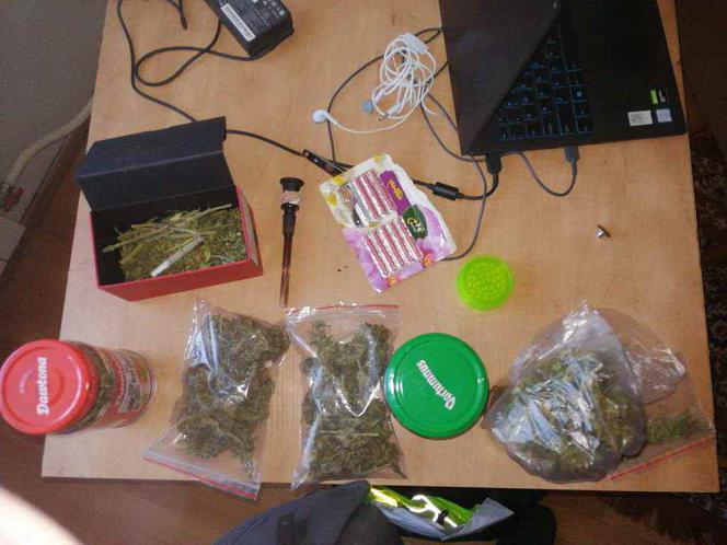 Został zatrzymany za posiadanie marihuany. Sam wskazał miejsce uprawy konopi