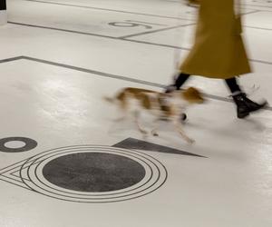 Wayfinding według Studia Blisko: rozmowa z architektką Anną Nowokuńską
