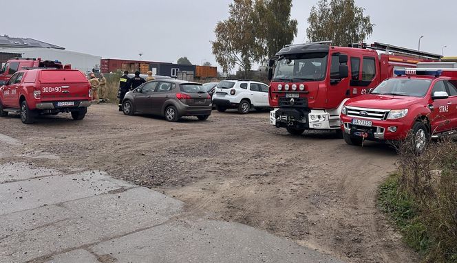 Nielegalne śmietnisko w Gdańsku. Pomorska Policja