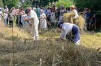 W Skansenie odbyły się retro żniwa, żęto żyto metodami pradziadków