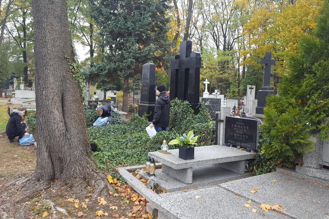 Sprzątanie cmentarza przy Ogrodowej w Łodzi