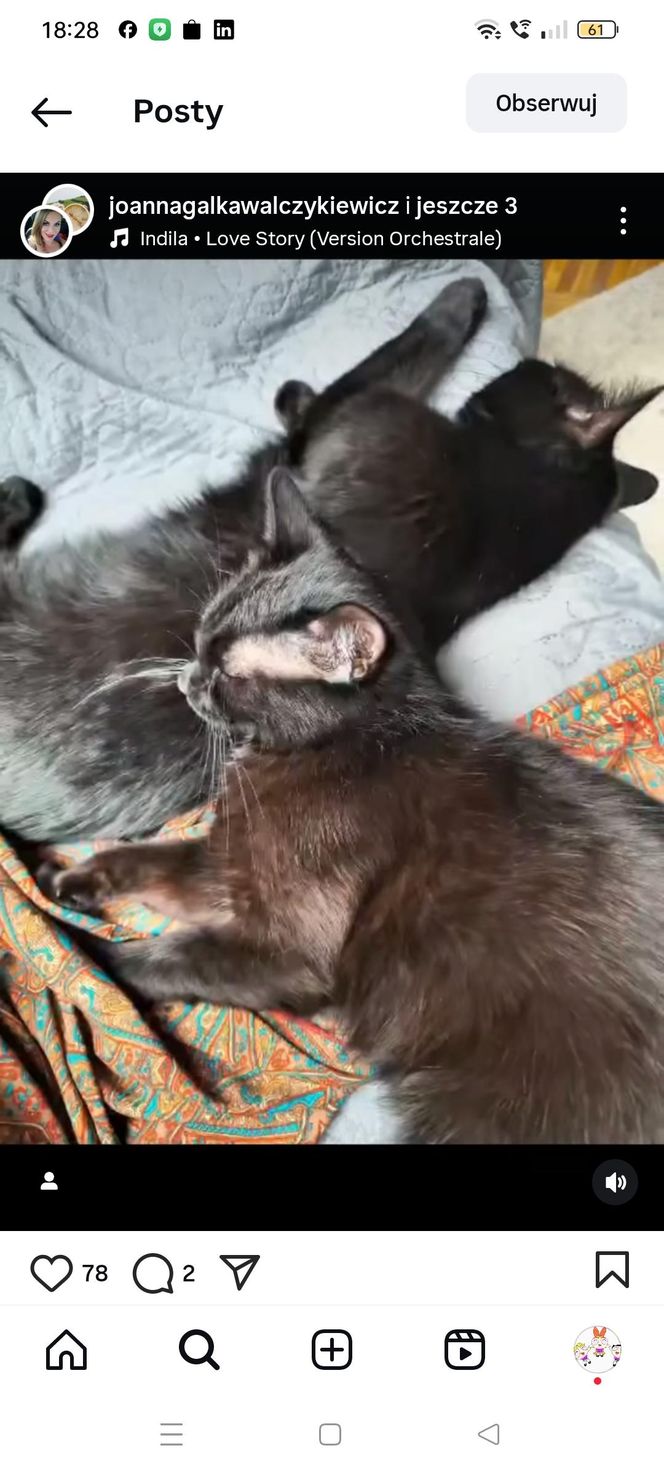 Para ze „Zróbmy sobie dom” nie wygrała finału, ale nie odpuszcza. "Jeśli uważacie, że zasłużyliśmy naszą ciężką pracą"