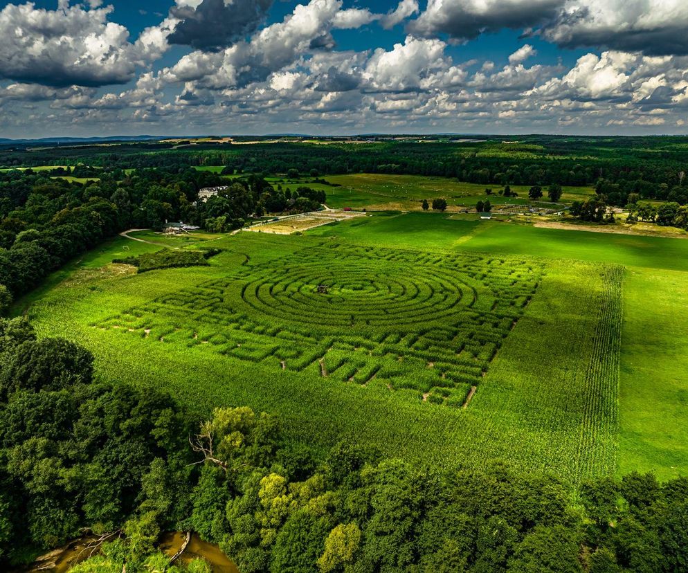 Kurozwęki 2025. Otwarcie wyjątkowego labiryntu 
