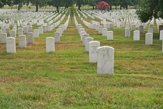 Amerykańskie nagrobki na cmentarzu w Dywitach. Szykuje się prawdziwa rewolucja