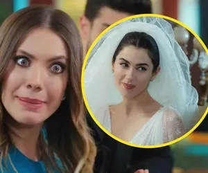 Zakazany owoc. Będzie ślub i rozwód. Informacja o ciąży zaskoczy wszystkich!