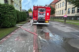 Interwencje po nawałnicach w Nowym Mieście Lubawskim