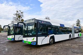 Elektryczne autobusy Szczecin