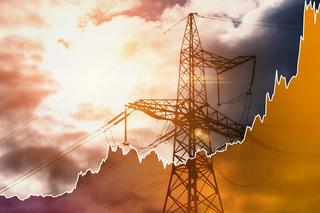 Ceny prądu dla firm 2024 - jakie będą? Czy wzrosną? Prognoza cen energii dla przedsiębiorców