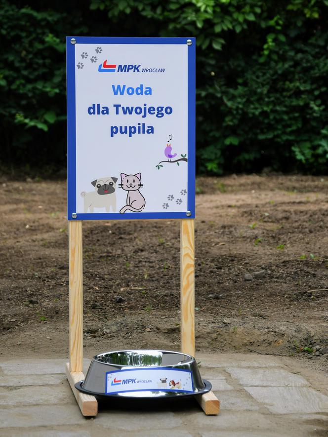 Wodopoje dla psów na pętlach MPK Wrocław