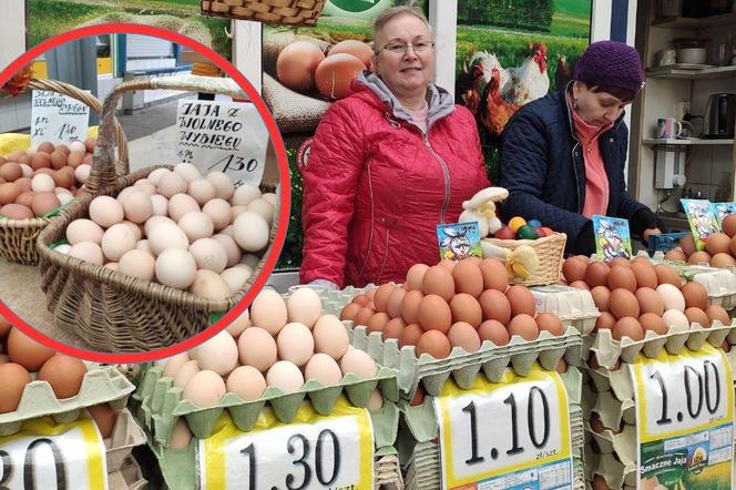 Ile kosztują jaja w 2024 roku? Sprawdzamy ceny w Gdyni!