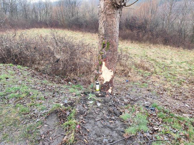 Pojechali do sklepu, rozbili się na drodze. Nie żyją trzej kumple z Kąśnej Górnej