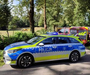Młody kierowca wjechał w drzewo. 29-latek jechał bez pasów i prawa jazdy