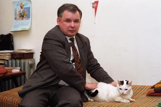 Wszystkie koty Jarosława Kaczyńskiego 