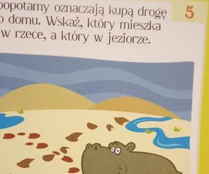 Humor ze szkolnych zeszytów. Nauczyciele pękali ze śmiechu, jak sprawdzali 