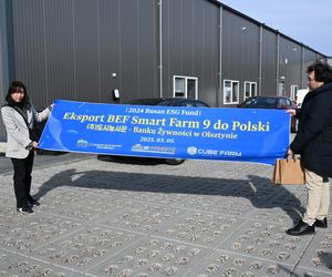 Nowoczesny kontener stanął koło Olsztyna. Wyhodują w nim warzywa bez gleby