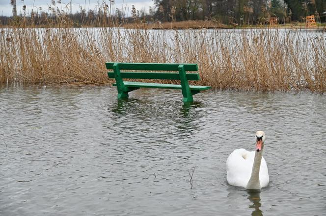 Podtopienia w Szczecinie