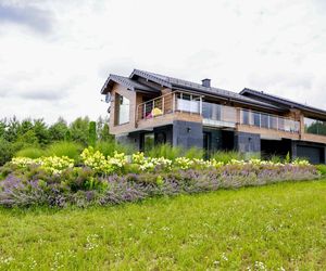 Cichopek traci fuchę! Nie będzie nowego sezonu Moja mama i twój tata