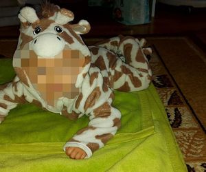 Dziewięć lat za zagłodzenie Emilki