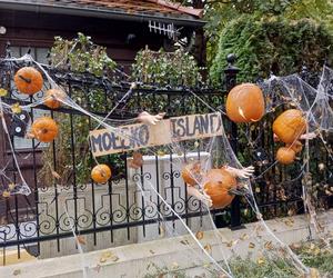 Willa na Jaśkowej Dolinie znów ozdobiona. Tym razem przechodniów zaskakują halloweenowe straszydła!