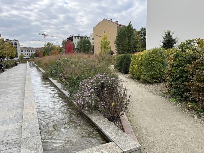 Park im. Wisławy Szymborskiej w Krakowie