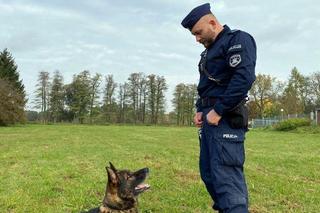 Kazik