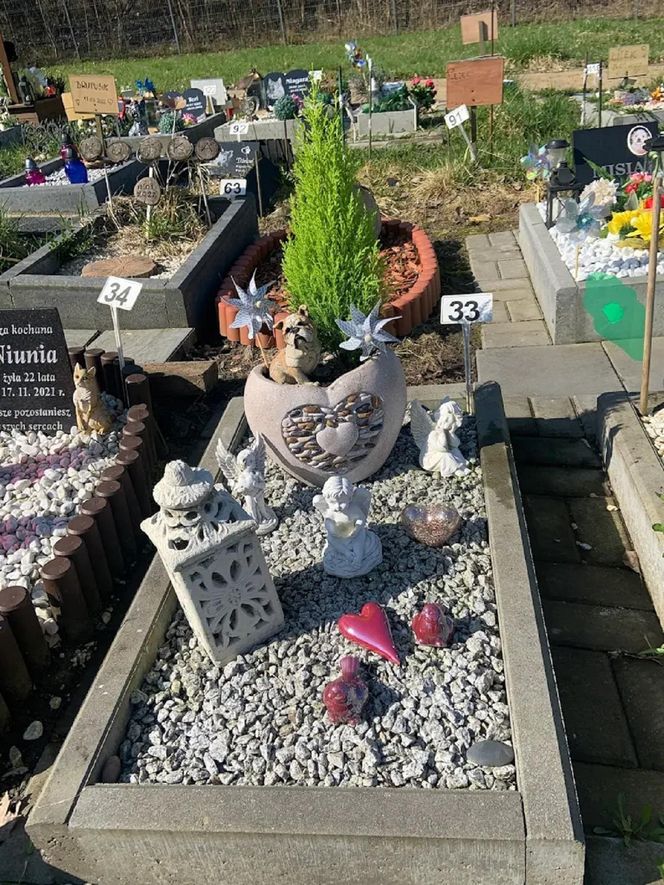 W całym woj. śląskim jest tylko jeden taki cmentarz. Miejsce, gdzie pamięć o pupilu nie umiera