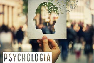Jakie zawody można wykonywać po specjalności psychologia w zarządzaniu?