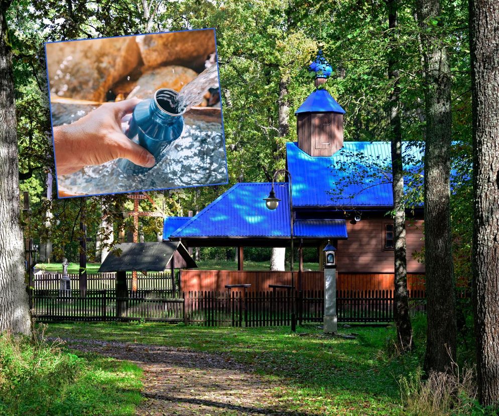 Puszcza Białowieska skrywa święte źródło. Pielgrzymi mówią o cudach