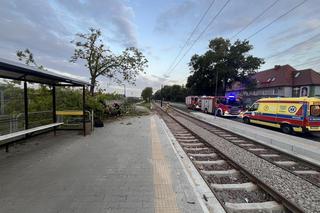 Wypadek na DTŚ. Samochód dostawczy wypadł z drogi. Jedna osoba poszkodowana