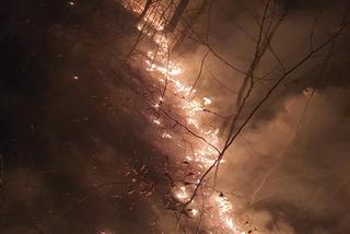 Pożary traw w regionie koszalińskim