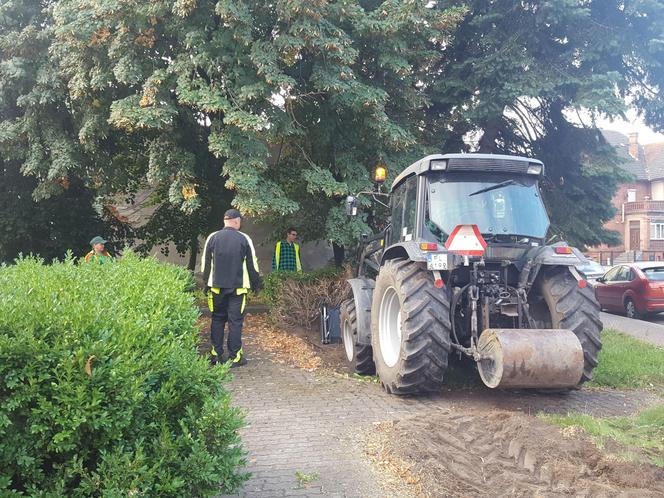 Bukszpany zrobiły miejsce na nowy pomnik w Lesznie. Poświęcony będzie żołnierzom generała Józefa Hallera