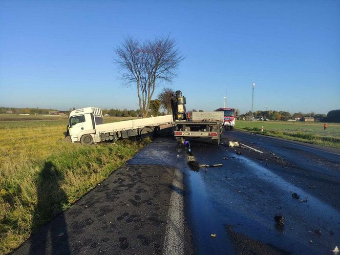 Zabił żonę, potem wjechał pod TIR-a. „Mama była z nim bardzo związana” - mówi syn małżonków