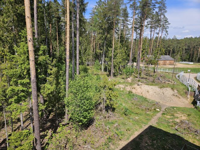 Kopna Góra
