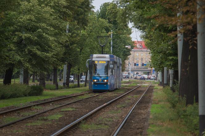 Komunikacja na Wigilię i święta. Sprawdź, jak będą jeździć autobusy i tramwaje