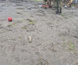 Dramat w Pruszkowie. Przetrzymywał zwierzęta w skandalicznych warunkach. Właściciel próbował się ich pozbyć