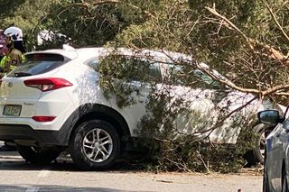 Drzewo spadło na auto na Helu