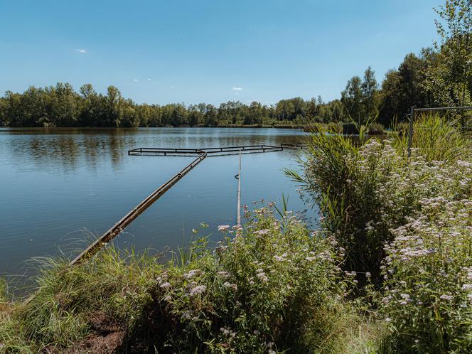 Kolejna inwestycja na stawie Balaton. Prace mają zostać wykonane do końca roku